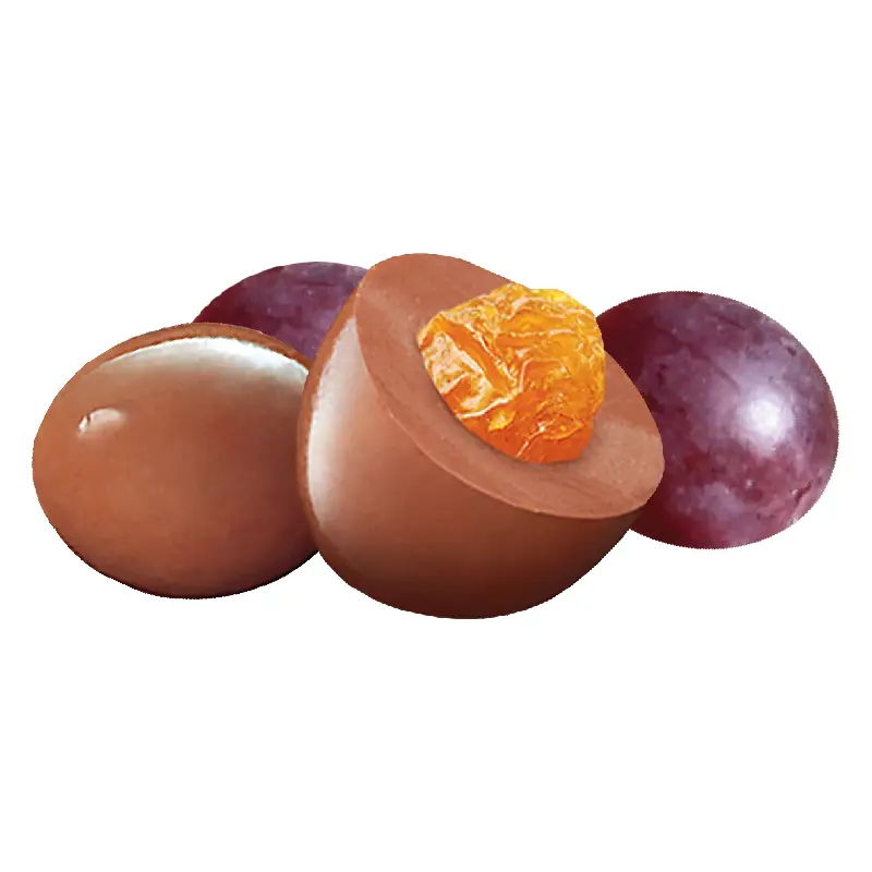 Raisin Milk Chocolate